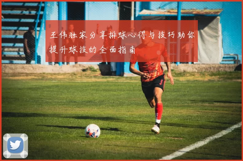 王伟独家分享排球心得与技巧助你提升球技的全面指南