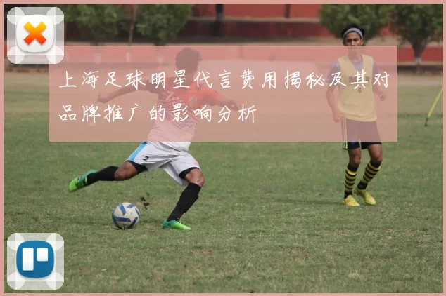 上海足球明星代言费用揭秘及其对品牌推广的影响分析