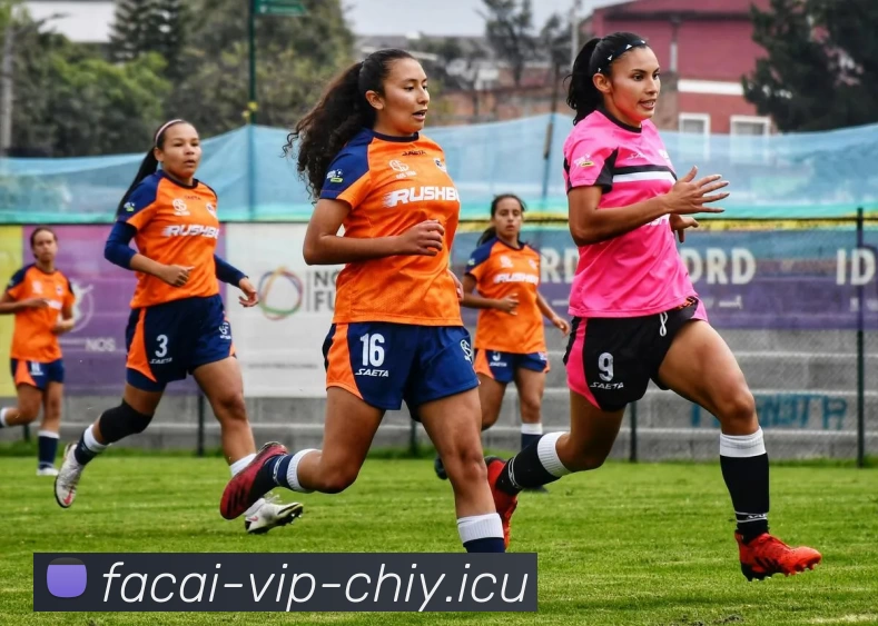 乐鱼体育发展历程